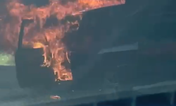 Oylat yolunda cayır cayır yandı