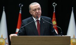 Türkiye'den nadir toprak elementi hamlesi!