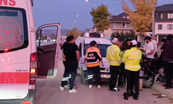 Köpeğe çarpmamak için yan yattı