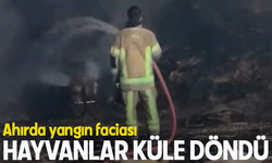 Mudanya'da ahır ve samanlık yangınında 170 hayvan küle döndü