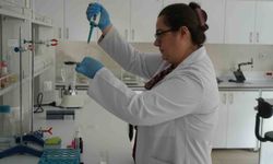 Sık sık gündeme gelen zehirlenmelerle ilgili uzmanlardan hayati uyarılar