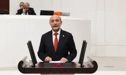 Nilüfer Çayı Meclis gündeminde!