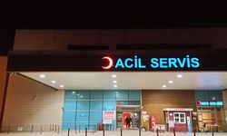 Piknikte bulup yedi Hastaneye kaldırıldı