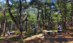 Atatürk Kent Ormanı’na Yeni Sosyal Tesis Geliyor