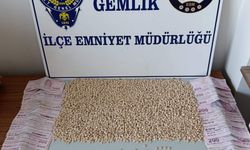 Bursa’da Şüpheli Araçta Uyuşturucu Ele Geçirildi