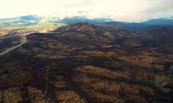 Bursa'yı yeniden yeşertecek 300 bin fidan için ilk adım atıldı