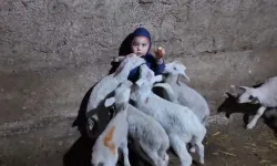 Kuzuların arasında kalan minik Yusuf’un tatlı halleri gülümsetti