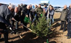 Arnavutköy’de Gazze için 10 bin fidan dikildi