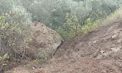 Ayvacık’ta düşen kaya parçası toprak kaymasına sebep oldu