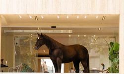 Espressolab, Jurassic Park teknolojisini şehirle buluşturdu