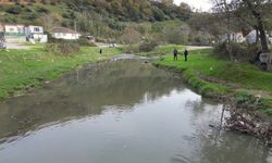 Eyüpsultan’daki gölde balık ölümleri yaşandı