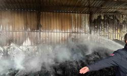 Keşan’da çıkan yangında bin saman balyası yandı