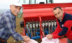 Kocaeli’de çiftçilere yüzde 75 hibeli tohum desteği