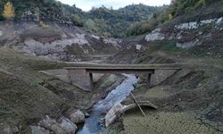 Kocaeli’nin su ihtiyacını karşılayan barajın seviyesi yüzde 6’ya düştü