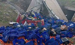 Kontrolden çıkan sebze yüklü tır devrildi: 1 yaralı