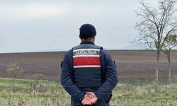 Mantar toplarken top mermisi buldular