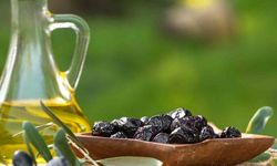 Marmarabirlik’ten 761 milyon liralık ödeme