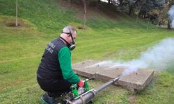 Sinekle mücadelede kışlık uygulama modeline geçildi