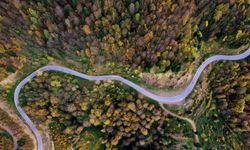 Sonbaharın renkleri Çam Dağı’nı baştan sona sardı