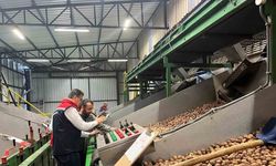 Tekirdağ’da ceviz ekim alanları genişliyor