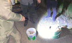 Tekirdağ’da gece avına baskın: 4 kişiye ceza