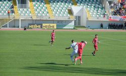 TFF 2. Lig Kırklarelispor: 1 - Mardin 1969 Spor: 1