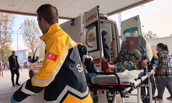 İnegöl'de fare saldırısı