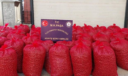 Mustafakemalpaşa'da hırsızlar 46 çuval ceviz ile yakalandı