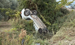 İznik'te sollama yaparken zeytinliğe uçtu