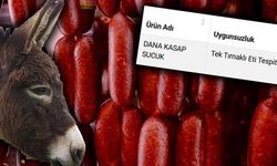 Bir at ve eşek eti skandalı daha