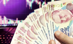 200 TL'lik banknot tarihe mi karışacak? Uzman isim 2030'u işaret etti