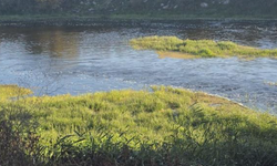 Canbolu Deresi’nde acı oyun: 10 yaşındaki Hızır Ali hayatını kaybetti