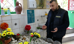 Isparta'da gören şaşkına dönüyor