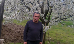 Bursa'da budadığı ağaçtan düşen adam hayatını kaybetti