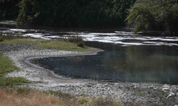 NİLÜFER ÇAYINI BİZ KİRLETİYORUZ! BOZBEY: “BURSALILARDAN GERÇEKLERİ SAKLADILAR”