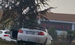 Otomobil refüje çıktı