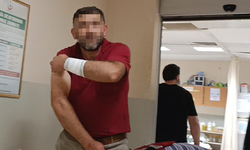 Ağaç budarken hastanelik oldu