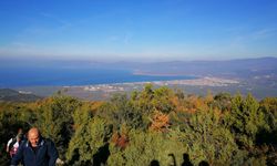 İznik Çamdibi Orman Sahası BURKENT’e Devredildi