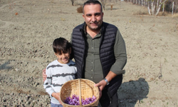 Denemek için ekti, dünyanın en pahalı baharatını yetiştirdi!