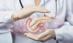 Sessiz Pankreas Kanseri: Genellikle Geç Evrede Ortaya Çıkıyor