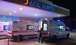 İnegöl'de mantar çifti öldürüyordu