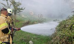 İnegöl'de korkutan alevler