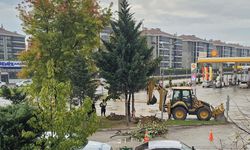 İnegöl'de dikilen ağaçlar söküldü...  Kimse anlam veremedi