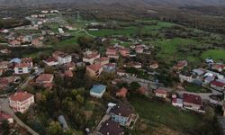 Şile’de şap alarmı: 3 köy karantinada, 18 mahalle gözetim altında