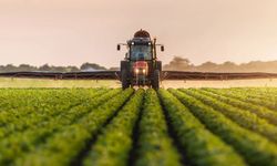 Türk gıda devi iflasın eşiğine geldi