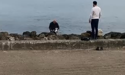 Bursa  Mudanya sahilinde oltaya takılan martıyı vatandaş kurtardı