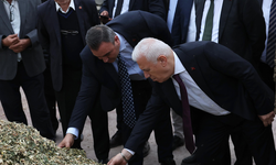 Bursalı çiftçilere silaj paketleme desteği