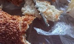 İnegöl'de simidin içinden bu da çıktı