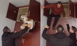 Aranan şahsın yakalandığı yer pes dedirtti!