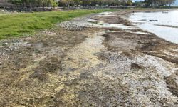 İznik Gölü kuruyor: Cargill'in yer altı sularından yılda 1 milyon metreküpten fazla su çektiği ileri sürülüyor